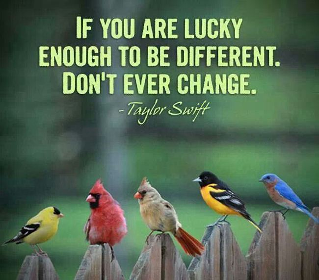 If you are lucky enough to be different don't ever change