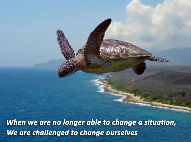 When we are no longer able to change a situation we are challenged to change ourselves