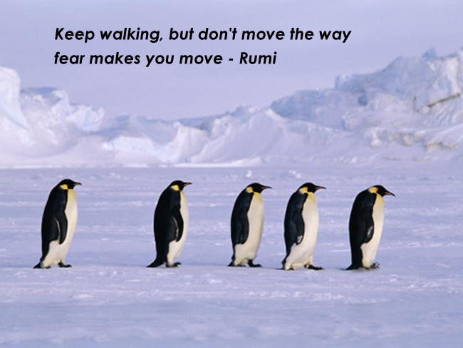 Keep walking but don't move the way fear makes you move