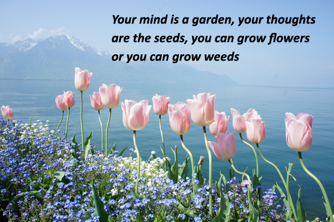 Your mind is a garden your thoughts are the seeds you can grow flowers or you can grow weeds