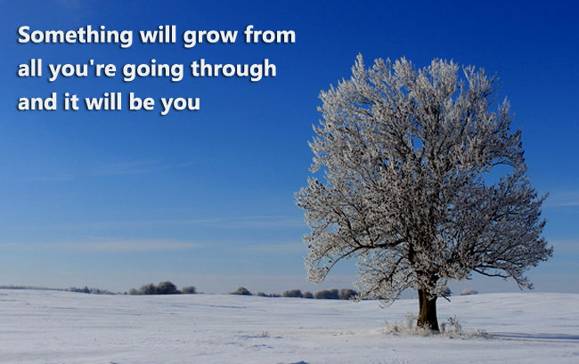 Something will grow from all you're going through and it will be you